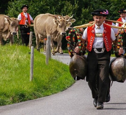 fb1d59d05f14ea5fd770c91333f40b8b